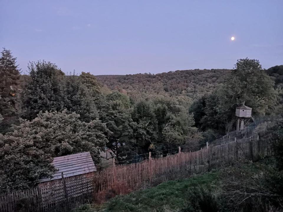 La Maison Du Sabotier Custinne Екстериор снимка
